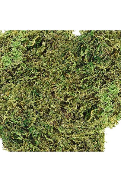 bitkicim Canlı Sphagnum Peat Moss 1lt. Orkide Toprağı (SPAGNUM YOSUNU) 1.kalite Yesil