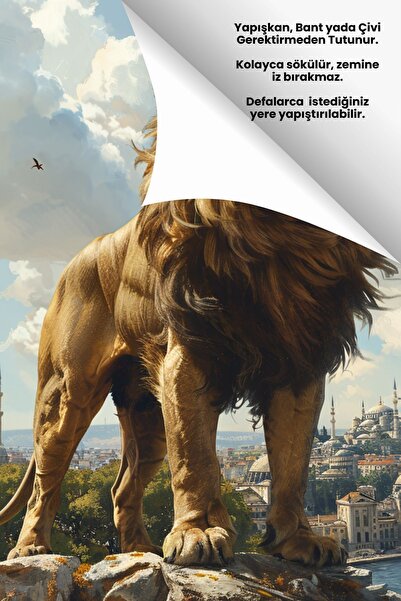 Pi Papers Premium Baskı Poster, Istanbul'da Aslan Duvar Posteri, Taraftar Posterleri