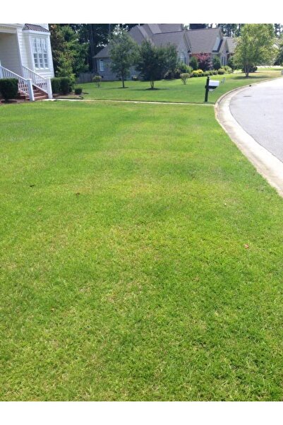 GRASS MIXTURE 6’lı Karışım İthal Çim Tohumu (1 KG)