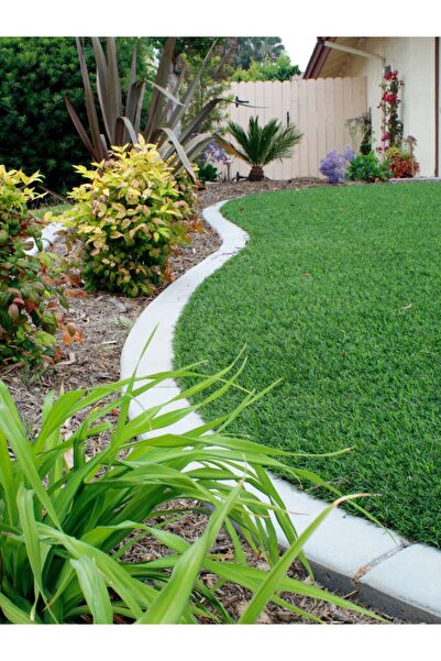GRASS MIXTURE 6’lı Karışım İthal Çim Tohumu (1 KG)