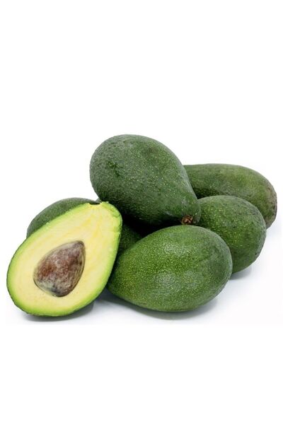 Genel Markalar Fuerte Avokado Fidanı 3 Yaş 80 100 Cm Boyunda Aşılı Tüplü