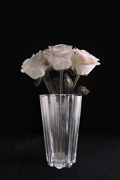 Digithome 17X30 cm Flower Glass Decorative Vase - C1-1-288