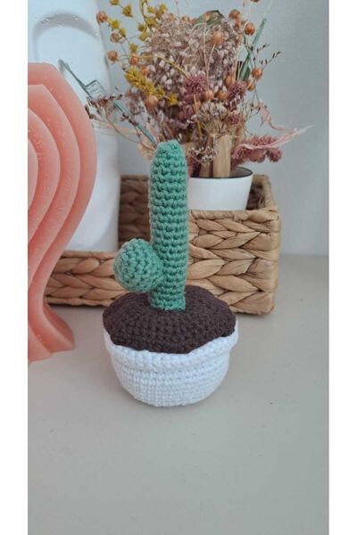 Gonulella Amigurumu Handmade Decorative Cactus