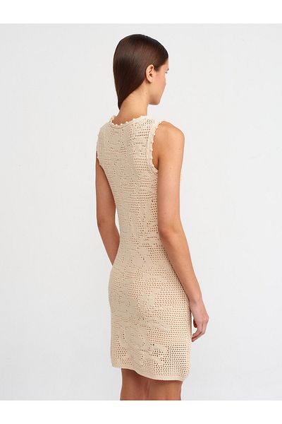 Dilvin 90181 Crew Neck Openwork Floral Patterned Lined Knitwear Dress-Natural