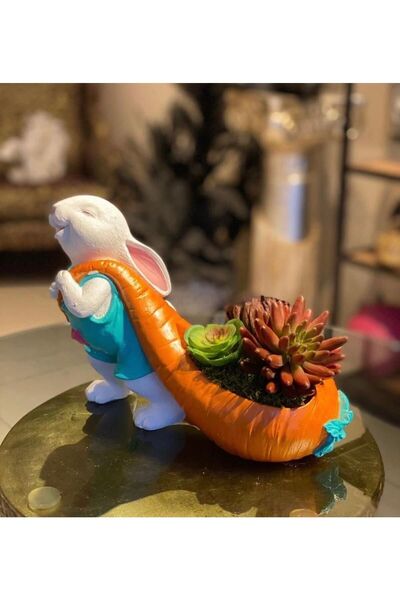 Velovis Dekoratif Havuç Saksılı Tavşan Biblosu