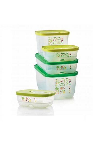 Tupperware Greenhouse Set of 5 Vegetable Fruit Storage Container (4.4-1.8-800 ) Hsgl
