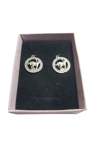 Ororabutik 25mm Taurus Figured Necklace and Earring Set