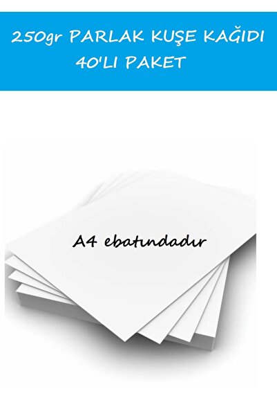 Picador عبوة من 40 ورقة مطلية لامعة بحجم A4 250 جرام