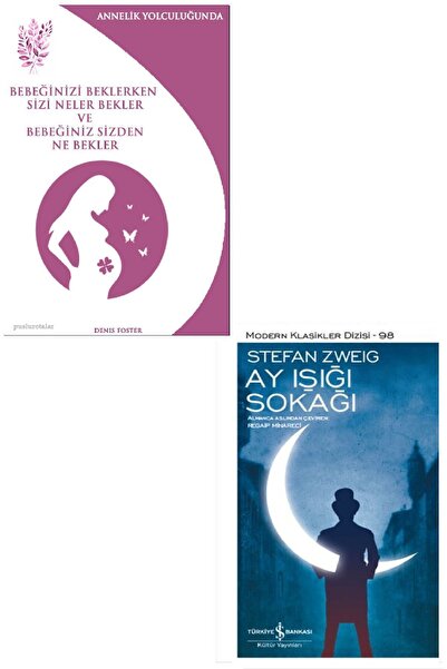 TÜRKİYE İŞ BANKASI KÜLTÜR YAYINLARI Annelik Yolculuğunda - Bebeğinizi Beklerk...