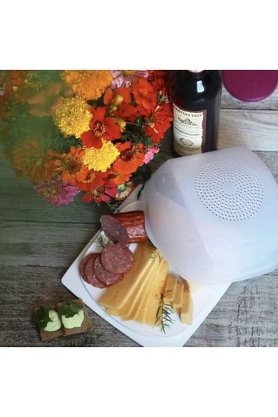Tupperware Medium Size Cheese World