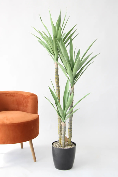 Yapay Çiçek Deposu Yapay Ağaç 3 Gövdeli Agave 160 cm Saksılı