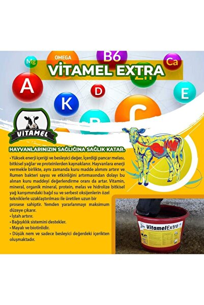 Royal Vitamel Extra 50 Kg Melas Bazlı Tamamlayıcı Yem, Yalama Kovası