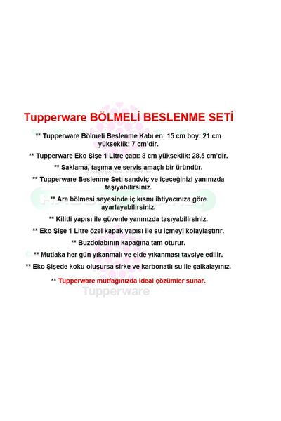 Tupperware Compartmented Feeding Set Storage Container Box Screw Hsgl