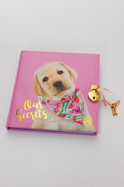 Turkuaz Tasarım Kilitli Günlük Defter