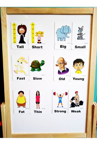 Okuling Magnetic English Word Cards Flashcards - Opposites