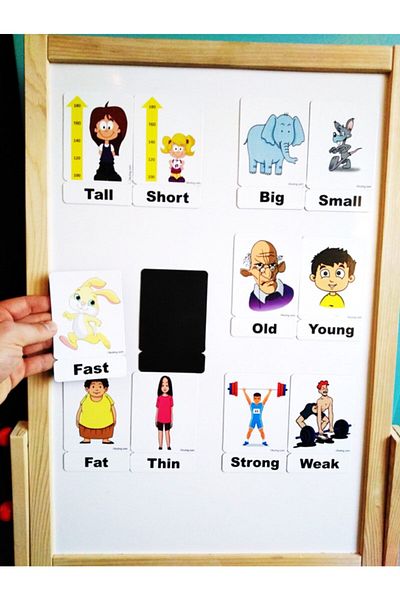 Okuling Magnetic English Word Cards Flashcards - Opposites