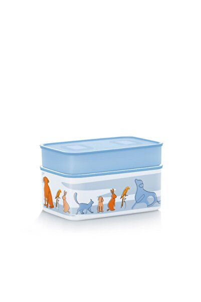 Tupperware Desenli Saklama Kabı Seti 2.9 lt 1.1 lt