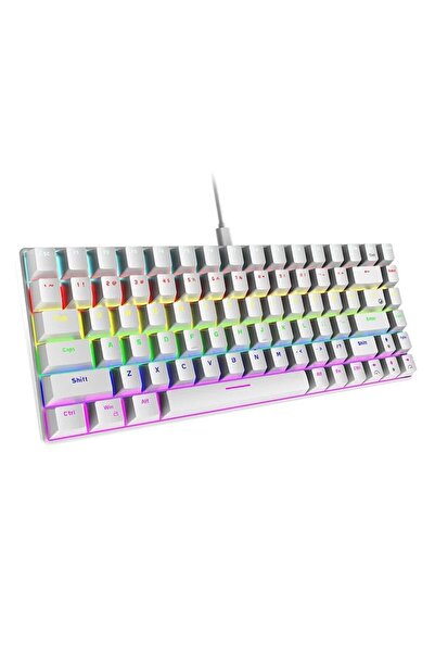 fortrek T 60 Raimbow Oyun Klavyesi Gaming Mekanik 62 Tuşlu 18 Rgb Led Usb Type-c Kablo t60005