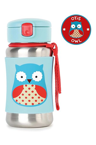 Carter's Skip Hop Stainless Steel Water Bottle Owl with Straw - Colorful