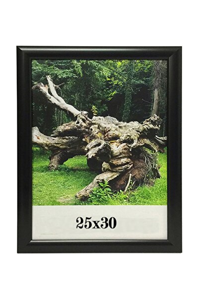 ÖZCANLAR ÇERÇEVE Hediyelik Çerçeve Ev Home Ofis Kişiye Özel Resim Çerçevesi M...