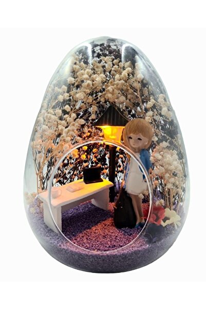 Genel Markalar Teraryum Yumurta Cam Fanus Hemşire , Doktor, Sağlıkçılar Iyi K...