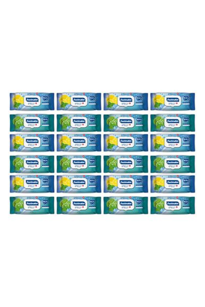 Freshmaker Antibacterial Wet Towels 24 Pieces of 72