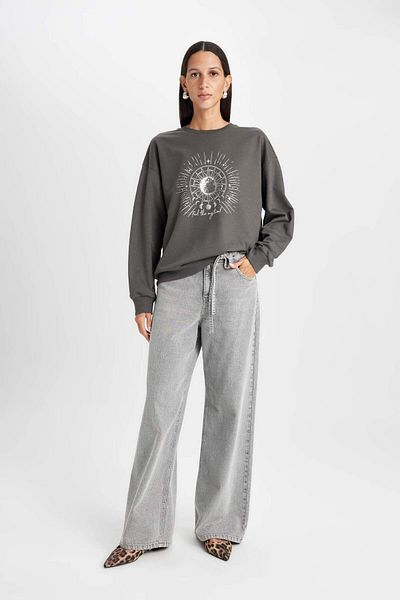 DeFacto Relax Fit Crew Neck Printed Thin Sweatshirt D5925Ax24Au