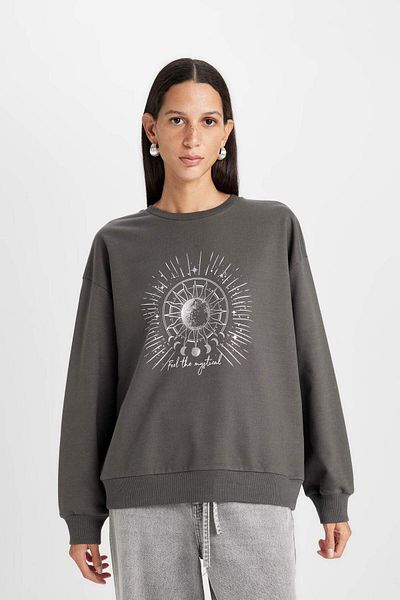 DeFacto Relax Fit Crew Neck Printed Thin Sweatshirt D5925Ax24Au