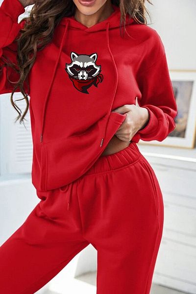 Rex Darius Raccoon Printed Oversize Unisex Hooded Sweatshirt Hoodie