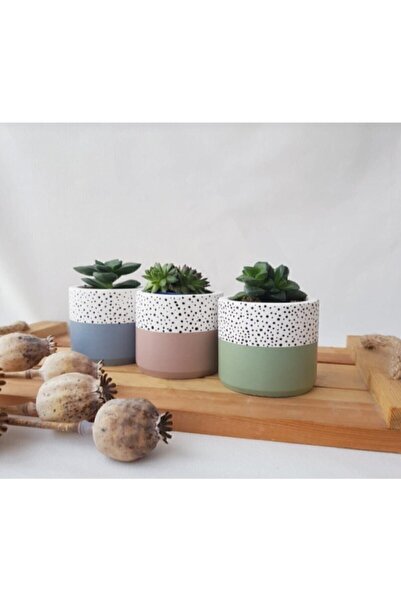 Genel Markalar Hediyelik Beton Saksı Seti – Sukulent– Kaktüs– Dekoratif Eşya-...