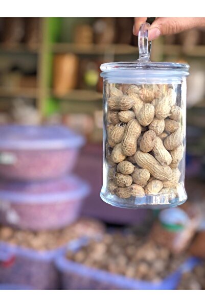 KİMYAGER FISTIKÇILIK VE KURUYEMİŞ Çiğ (kavrulmamış) Kabuklu Fıstık 1000 Gr