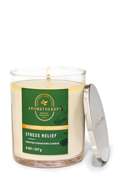 Bath & Body Works Eucalyptus Spearmint Orta Boy Mum 227 g