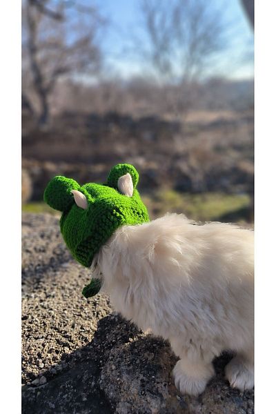 TRENDİN YOLU Green Funny Dog Cat Hat - Cute Handmade