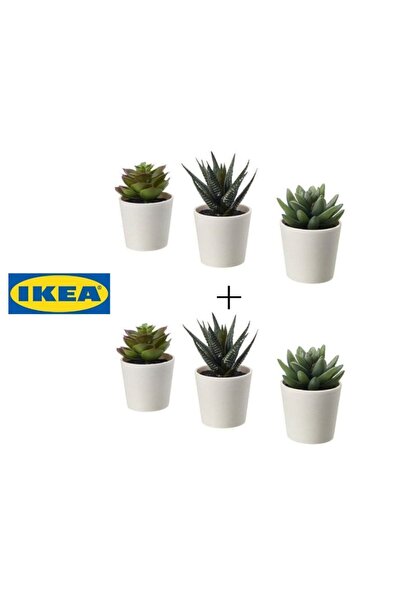 IKEA Fejka 2 Li Kaktüs Çiçek