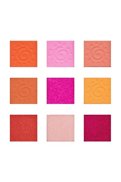 Revolution Lion King I - Wild Side Pallet