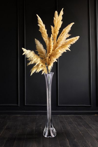 Digithome 80 cm Decorative Glass Vase - Elephant Foot C1-1-288