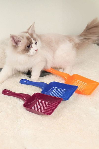 GOBYPET Intermittent Plastic Cat Litter Shovel, Cleaning Sifting Shovel Light Gray