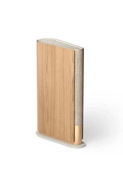 BANG & OLUFSEN Beosound Kablosuz Hoparlör Altın