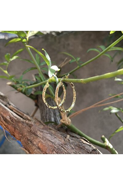 DİLEK KUYUMCULUK Altın halka küpe