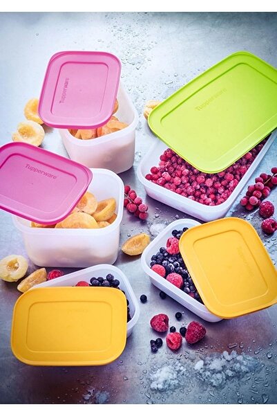 Tupperware White Alaska Container Set of 5 5 Pieces 1 - 1.99 L Plastic