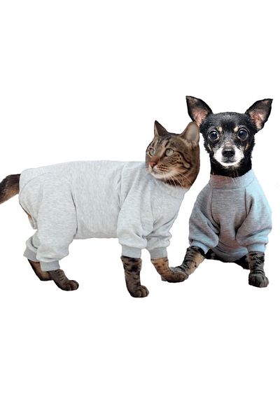 stylie Protective Cat and Dog Coverall for Post-Surgery, Wounds, Eczema, Fungus, Itching, Long Sleeve, Velcro