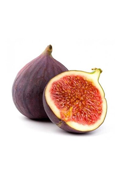 Hamile Marketim Siyah Dağ Inciri 500 gr
