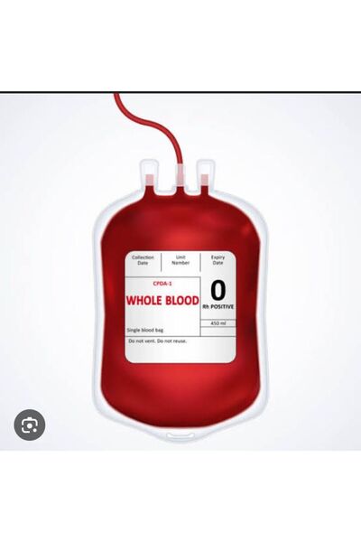 can medikal Flebotomi kan alma torbası 450ml 5 adet