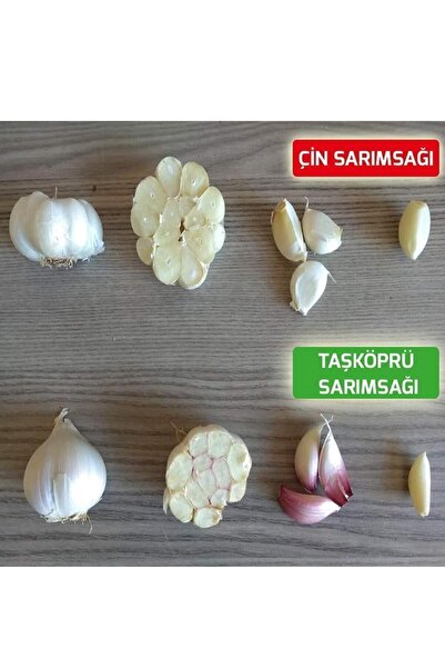 sarımsak 2025 Yeni Sezon Hakiki Kastamonu Taşköprü Sarımsağı - Double Boy - 1 Kg -