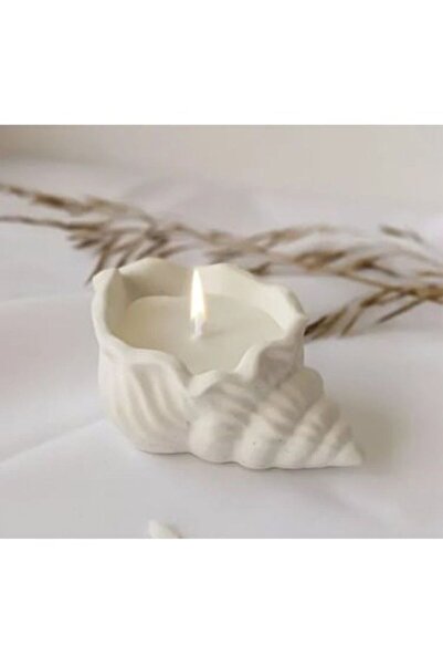 candleistanbul 1 Li Set Istiridye Midye Deniz Kabugu Mumsuz Beton Ham 1 Adet ...
