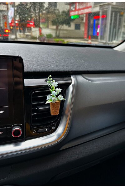 Plantarrium Design Oto Aksesuar/Koku-Balon Mavi