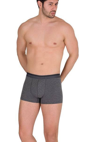 Berrak 1097 Ανδρικό Boxer Antresite 3xl (1 PC)