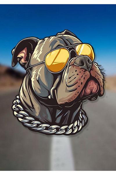 MegaSticker Autocolant Cool Pitbull frumos pentru mașină, motocicletă, cască, laptop, autocolant pentru sticlă 13x8 cm