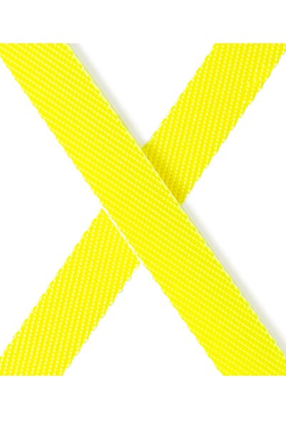 Flexi giant xl 8metre neon xlarge boy şerit tasma otomatik şeritli büyük ırk köpek uzatma max 50kg