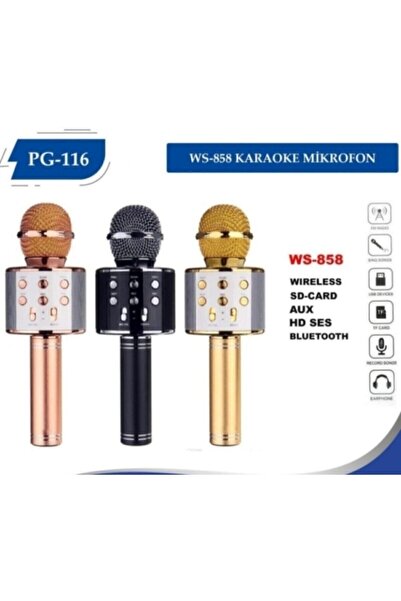 HandHeld Polygold Ws 858 Blutooth Karaoke